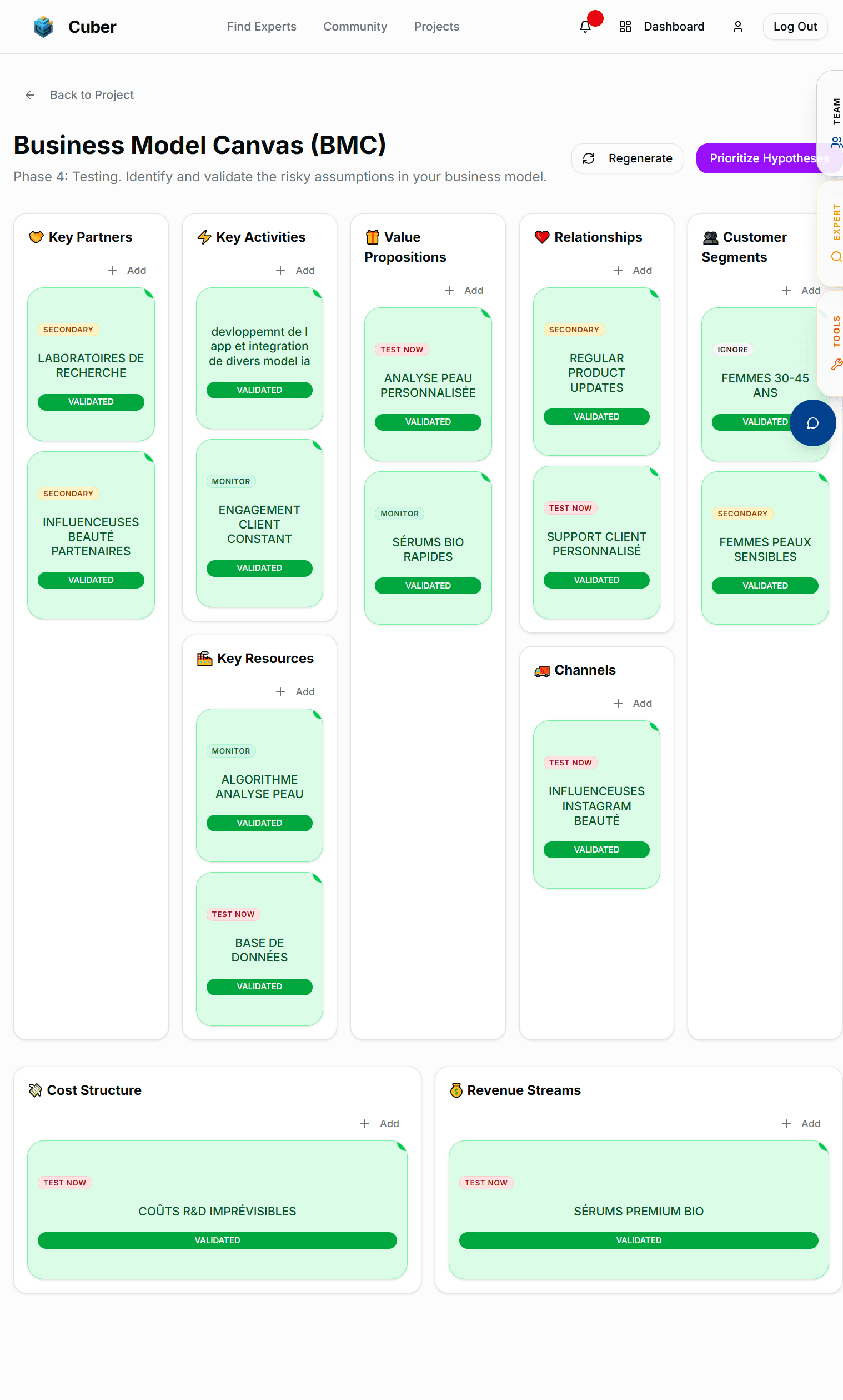 Strategyzer BMC & Test Cards Dashboard